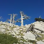 Tana Libera Tutti 1 Nature, Yourself,