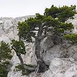 Tana Libera Tutti 1 Nature, Yourself,