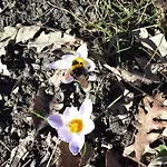 Tana Libera Tutti 1 Nature, Yourself, Frühstückspension