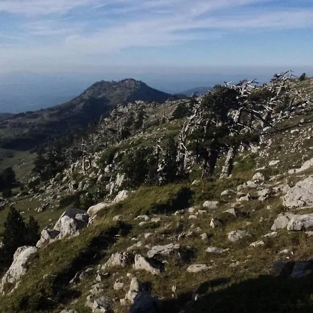 Tana Libera Tutti 1 Nature, Yourself, Frühstückspension