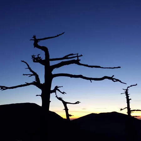 Tana Libera Tutti 1 Nature, Yourself,