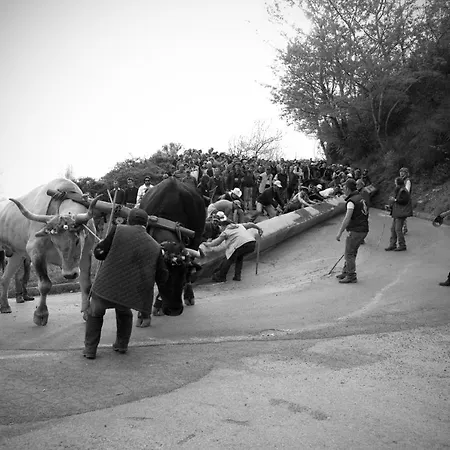 Frühstückspension Tana Libera Tutti 1 Nature, Yourself, 3*