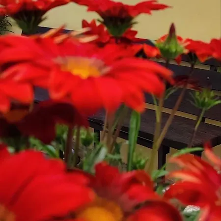 Frühstückspension Tana Libera Tutti 1 Nature, Yourself, Viggianello