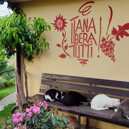 Tana Libera Tutti 1 Nature, Yourself, 3*
