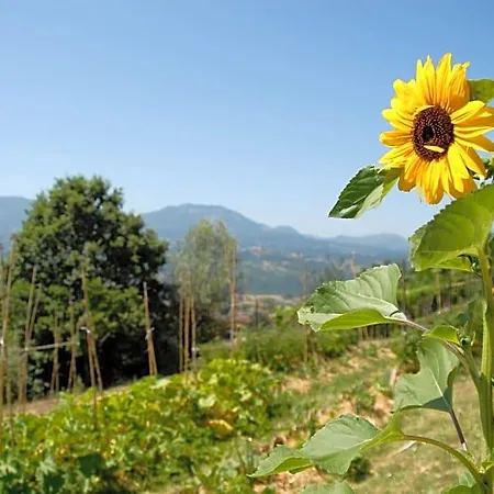 Bed & Breakfast Tana Libera Tutti 1 Nature, Yourself, 3*