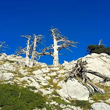 Tana Libera Tutti 1 Nature, Yourself,