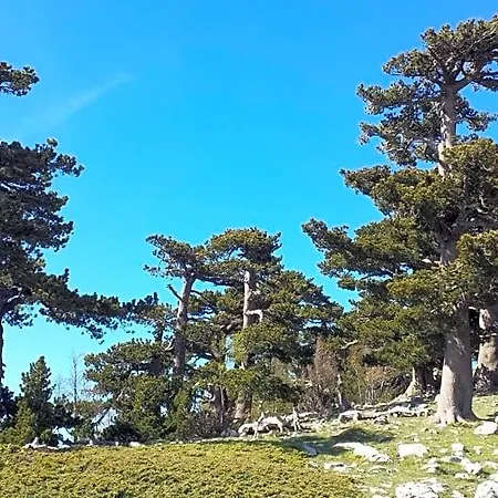Bed and breakfast Tana Libera Tutti 1 Nature, Yourself, Viggianello