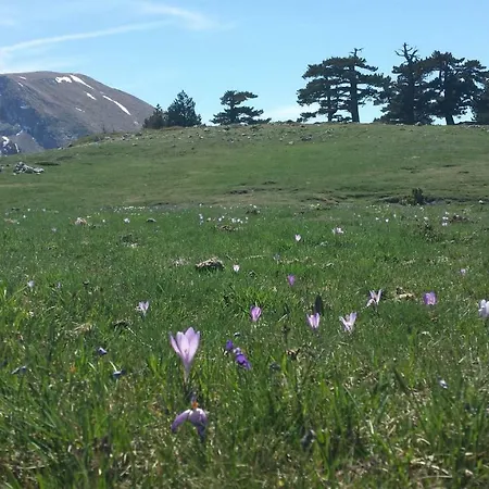 Frühstückspension Tana Libera Tutti 1 Nature, Yourself,