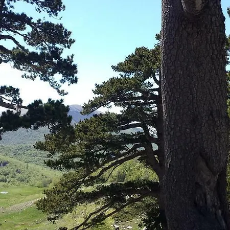 Frühstückspension Tana Libera Tutti 1 Nature, Yourself, Viggianello