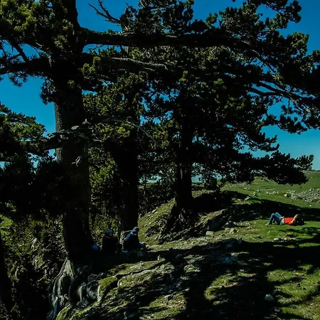 Bed & Breakfast Tana Libera Tutti 1 Nature, Yourself, Viggianello