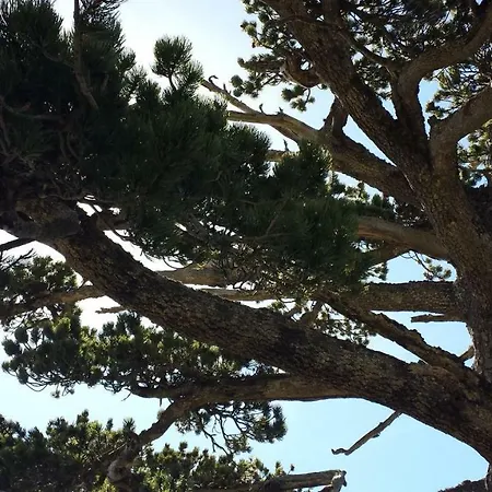 Tana Libera Tutti 1 Nature, Yourself, Frühstückspension