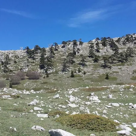 Tana Libera Tutti 1 Nature, Yourself, Frühstückspension 3*