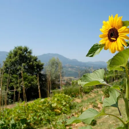 Tana Libera Tutti 1 Nature, Yourself, 3* Viggianello