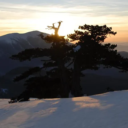 Frühstückspension Tana Libera Tutti 1 Nature, Yourself, Viggianello