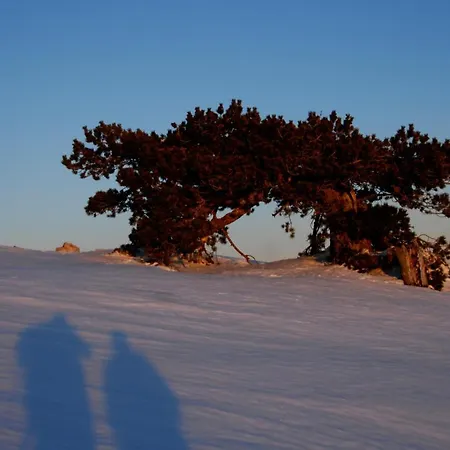 Frühstückspension Tana Libera Tutti 1 Nature, Yourself, 3*