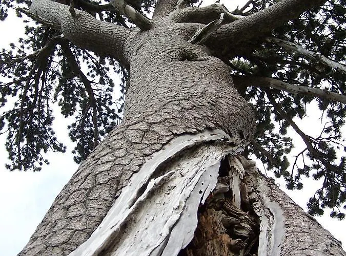 Bed & Breakfast Tana Libera Tutti 1 Nature, Yourself,