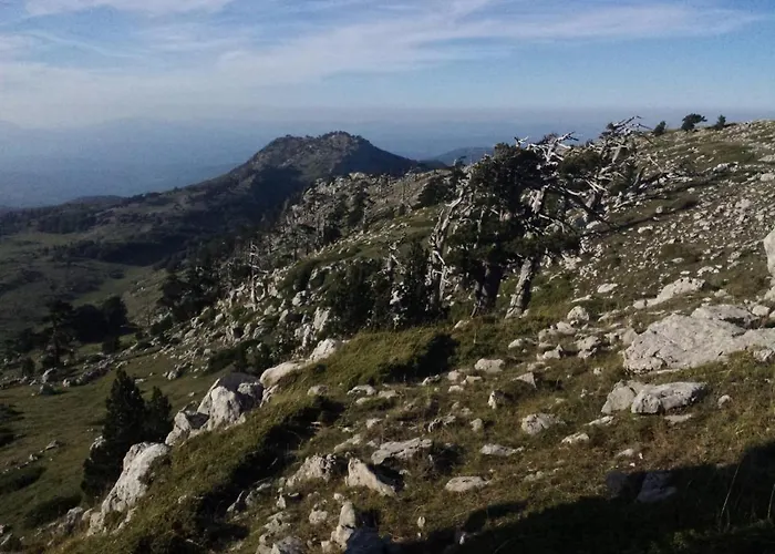 Tana Libera Tutti 1 Nature, Yourself, Bed & Breakfast