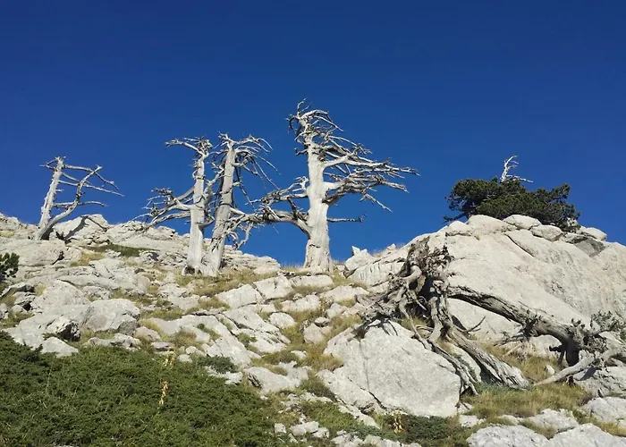 Tana Libera Tutti 1 Nature, Yourself,