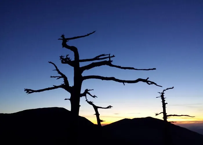 Tana Libera Tutti 1 Nature, Yourself,