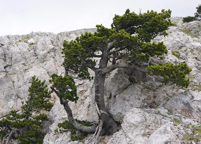 Tana Libera Tutti 1 Nature, Yourself,