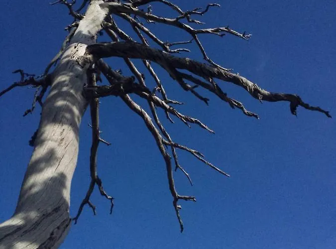 Tana Libera Tutti 1 Nature, Yourself, Bed & Breakfast 3*