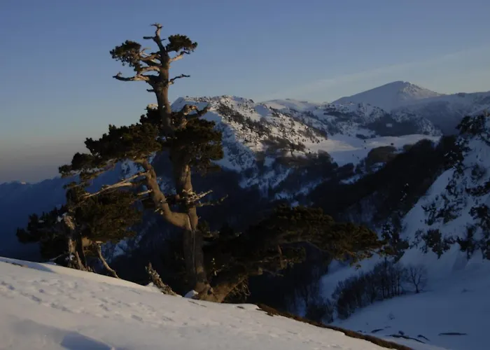 Bed & Breakfast Tana Libera Tutti 1 Nature, Yourself, 3*