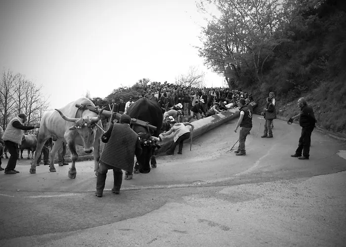 Bed & Breakfast Tana Libera Tutti 1 Nature, Yourself, 3*