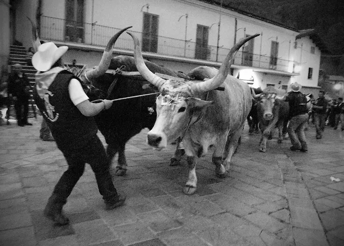 Alojamento de Acomodação e Pequeno-almoço Tana Libera Tutti 1 Nature, Yourself,