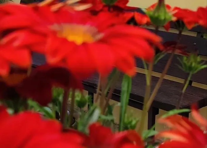 Bed & Breakfast Tana Libera Tutti 1 Nature, Yourself, Viggianello