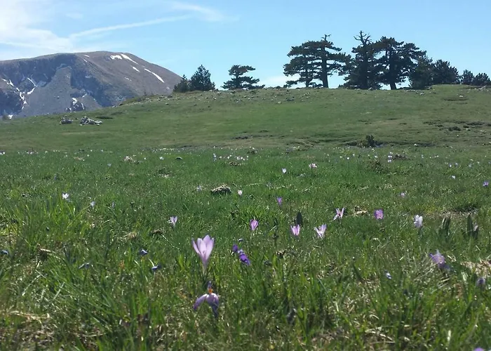 Bed & Breakfast Tana Libera Tutti 1 Nature, Yourself,