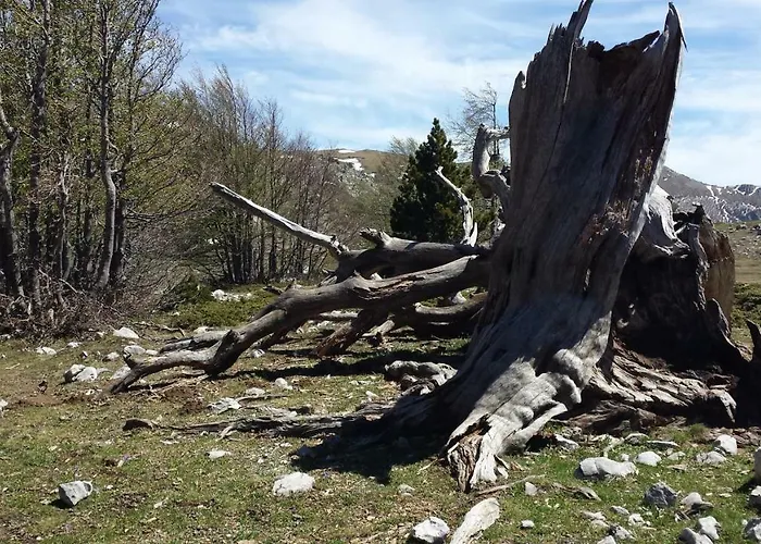 Tana Libera Tutti 1 Nature, Yourself, 3* Viggianello