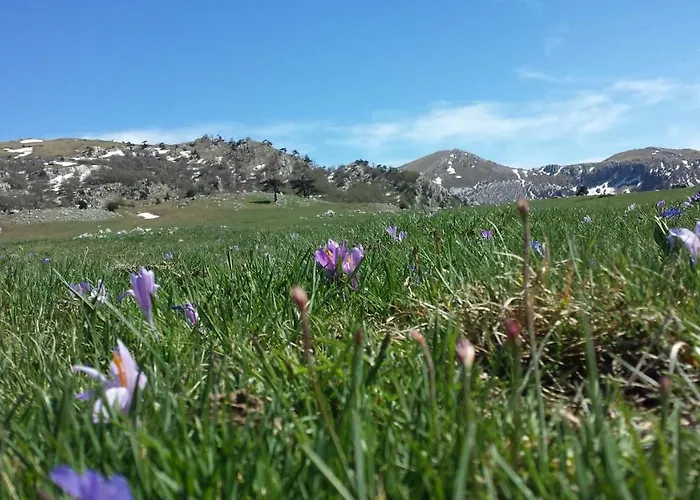 Bed & Breakfast Tana Libera Tutti 1 Nature, Yourself, Viggianello