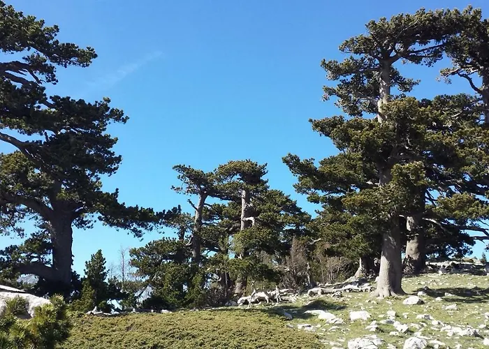 Tana Libera Tutti 1 Nature, Yourself, Viggianello