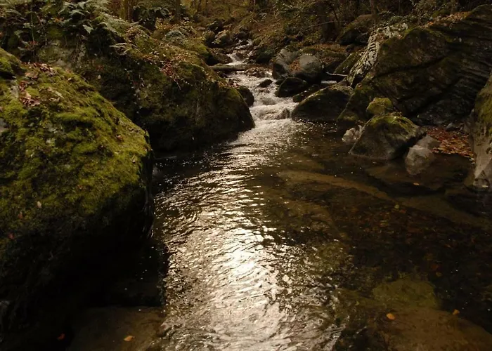 Tana Libera Tutti 1 Nature, Yourself, Bed & Breakfast Viggianello