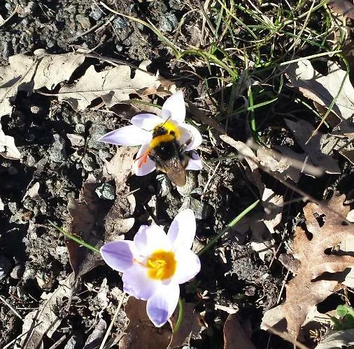 Tana Libera Tutti 1 Nature, Yourself, Bed & Breakfast