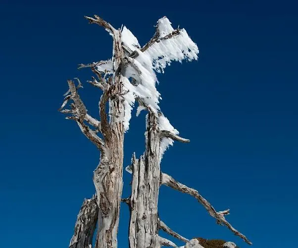 Bed & Breakfast Tana Libera Tutti 1 Nature, Yourself, Viggianello