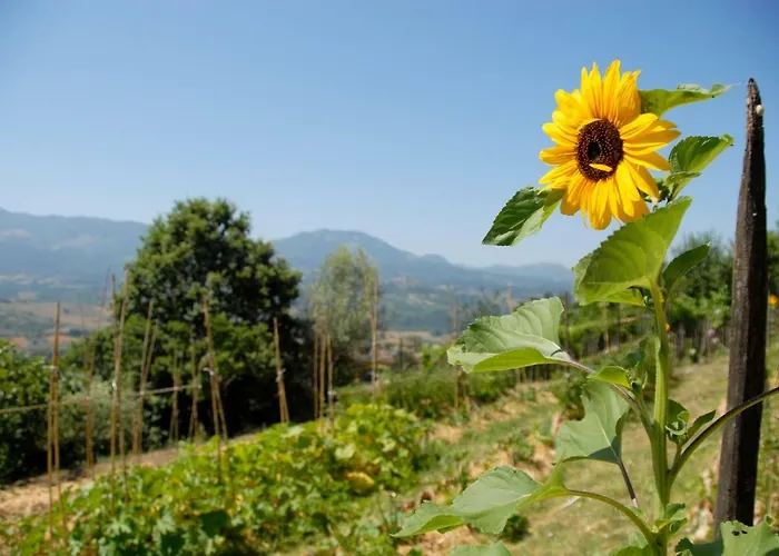 Tana Libera Tutti 1 Nature, Yourself, 3* Viggianello