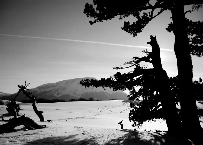 Tana Libera Tutti 1 Nature, Yourself,